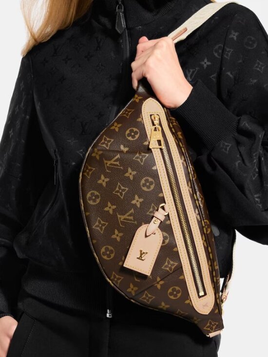 Louis Vuitton Handbags - Louis Vuitton Canvas High Rise Monogram Bumbag